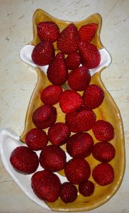 Rókás kerámia - Rókavilág.hu